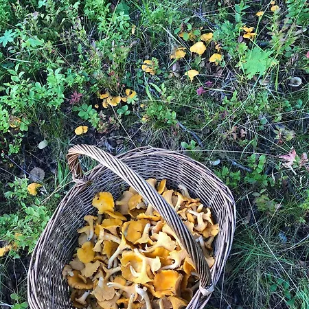 Casa vacanze Linda's House *