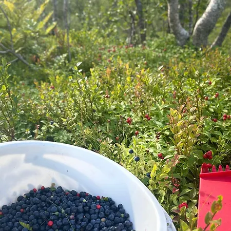 Linda's House Casa vacanze Senjahopen