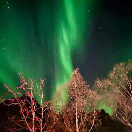 Casa vacanze Linda's House